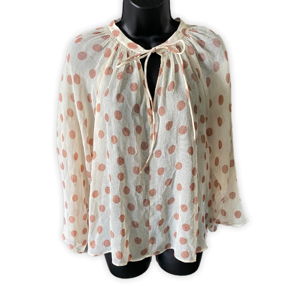 Zara Sheer Polka Dot Blouse XS